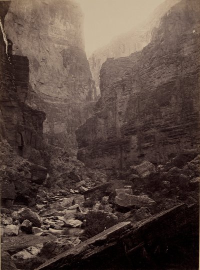 Cañon of Kanab Wash, Colorado River, Looking North by William H. Bell